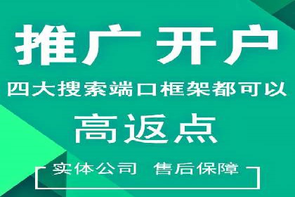 顶尖SEM竞价代运营公司案例分析